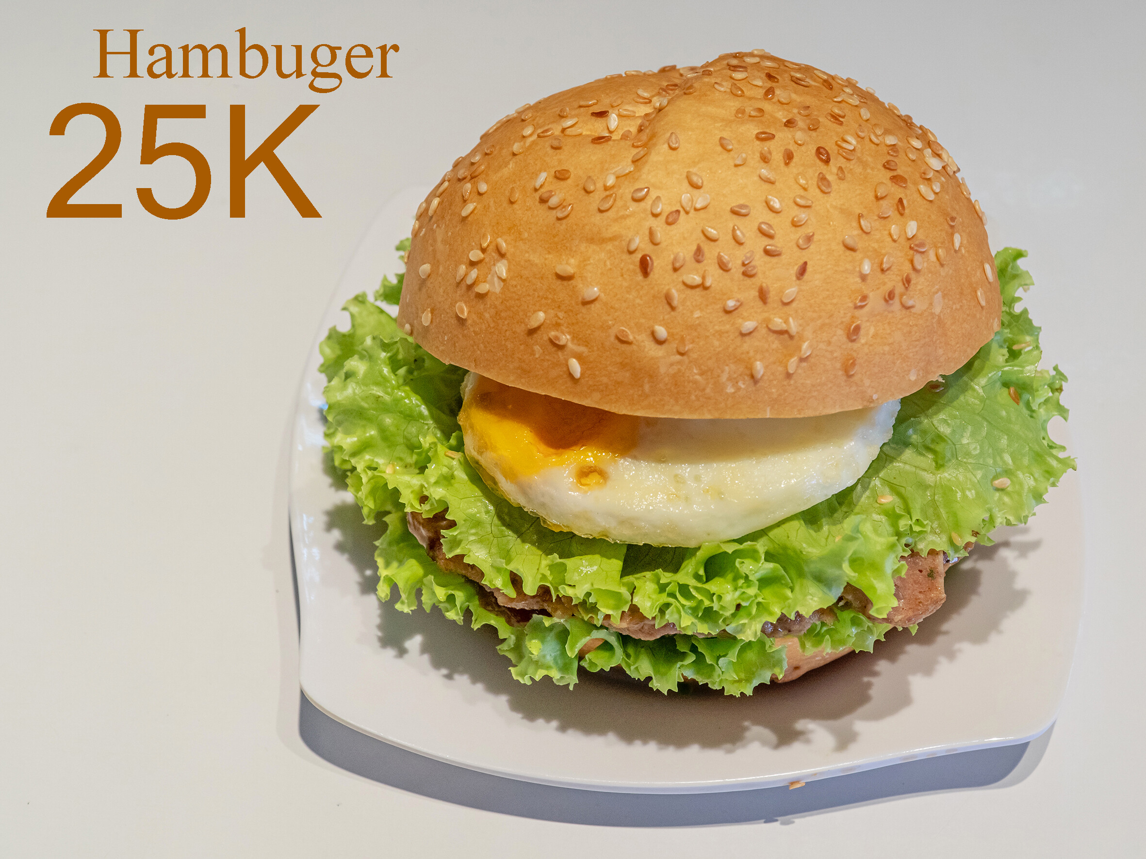 Hamburger