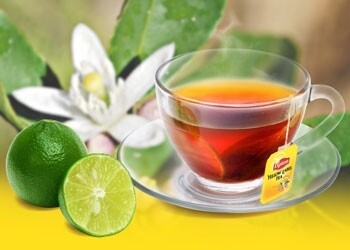Lipton Nóng
