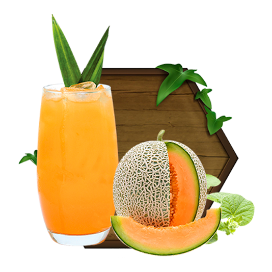 Ép Dưa Lưới